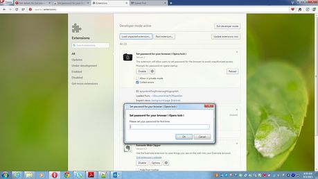 Set password for your browser ( Opera lock ) eklentisi - Opera
