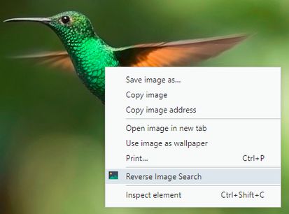 what is reverse image search what is reverse image search