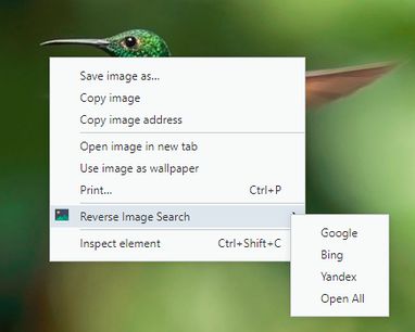 Image Reverse Search Extension Opera Add Ons