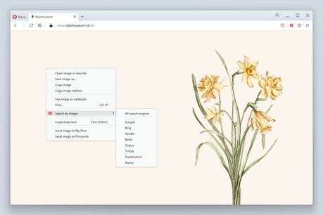 Extensão Search by Image - Complementos do Opera