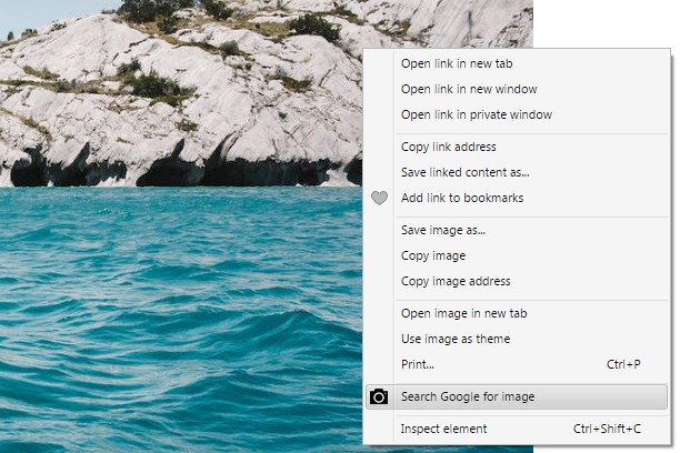 google reverse image search extension