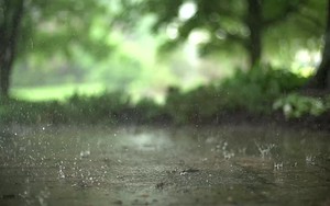 Ikon for Raindrops