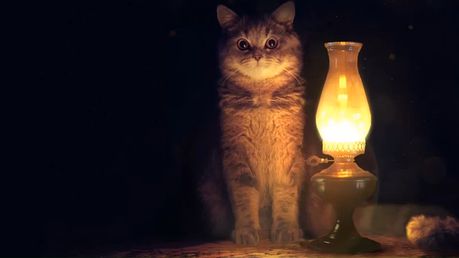 Cat Wallpaper Opera Add Ons