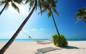Icon for Maldives Islands