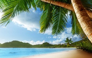 Ikona pro Beach