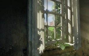 Icon for The Last of Us - Window - HD