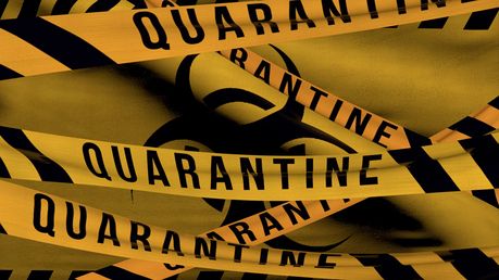 Quarantine wallpaper - Opera add-ons