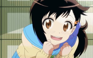 Icon for Nisekoi Animated Theme