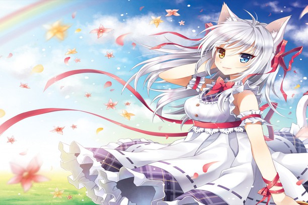 White Haired Catgirl With Heterochromatic Eyes Wallpaper Opera Add Ons