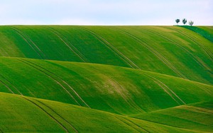 Icon for Rolling Hill – Dawid Zawiła